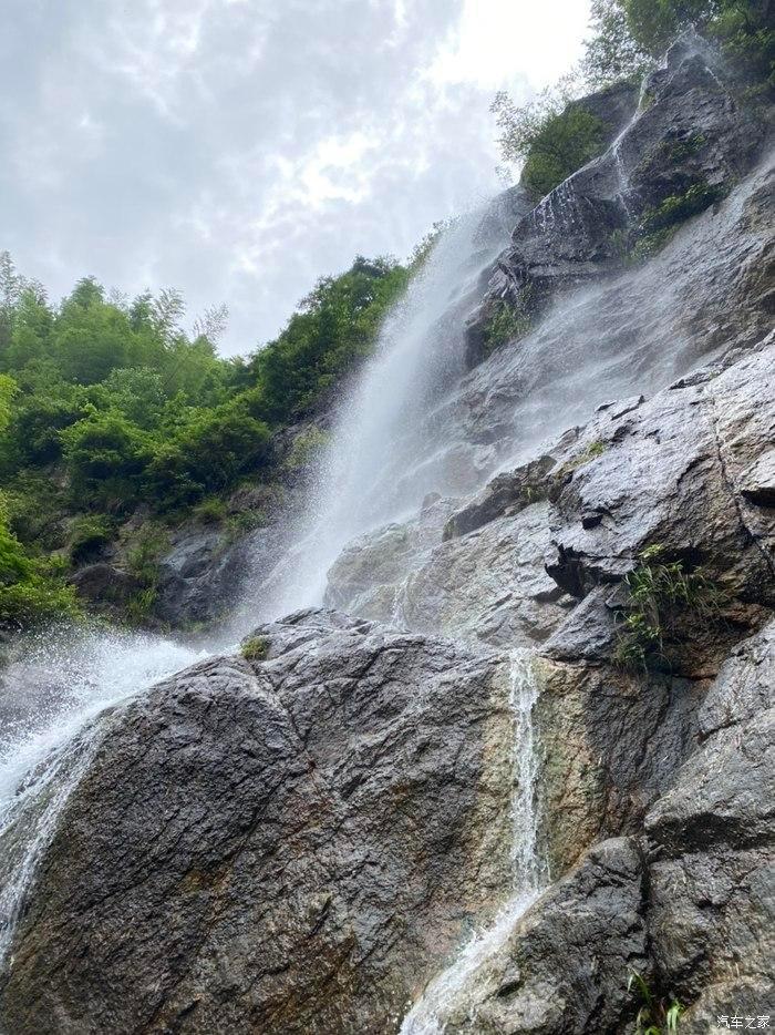 救援可爱小松鼠